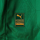 Camisa Palmeiras I 2025