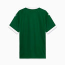 Camisa Palmeiras I 2025