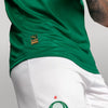 Camisa Palmeiras Home 2025 - Verde - Jogador
