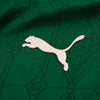 Camisa Palmeiras Home 2025 - Verde - Jogador
